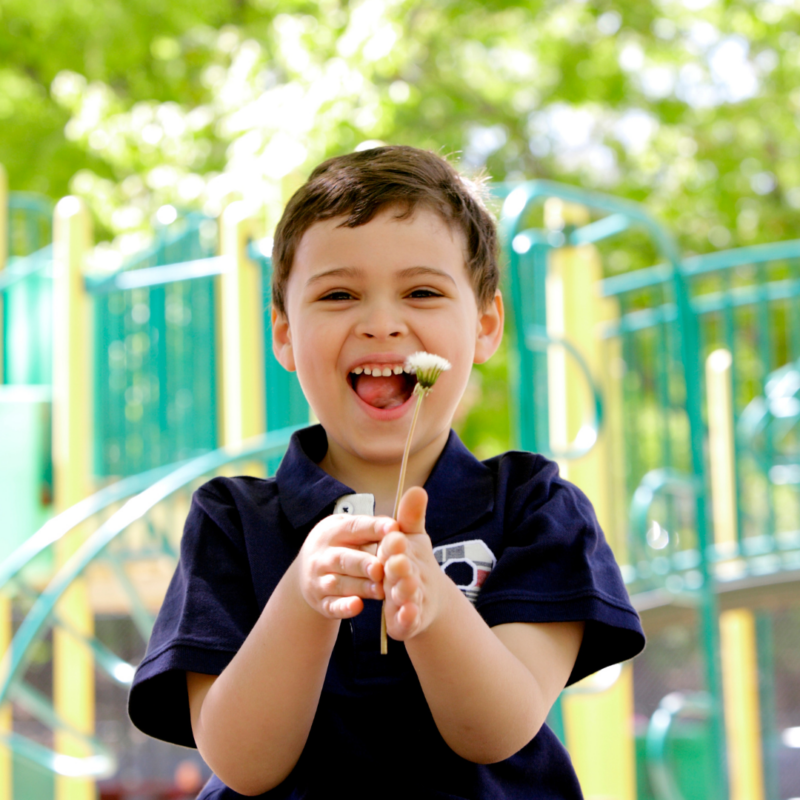 child with a dandelion at the park