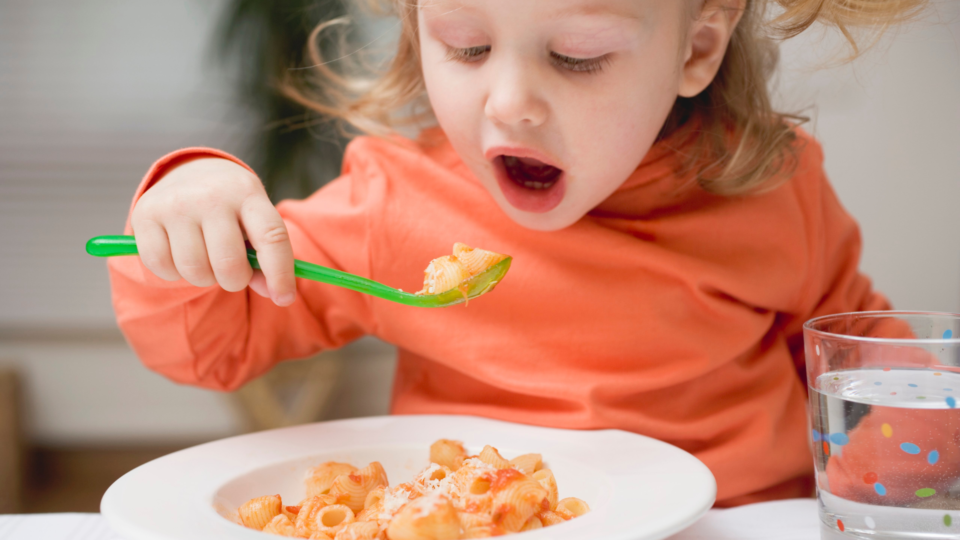 Why Will My Kid Only Eat The Same 4 Foods?
