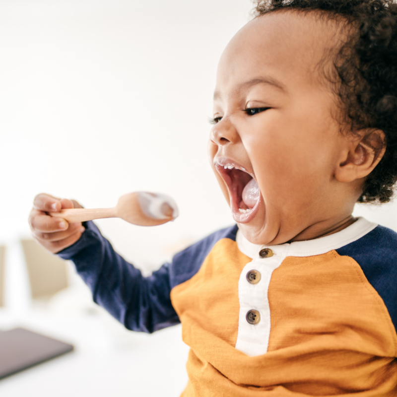 Toddler Behavior